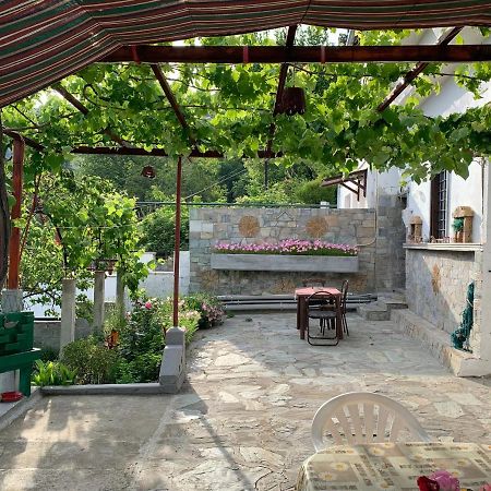 Η Θεα Traditional House Makrinítsa Dış mekan fotoğraf