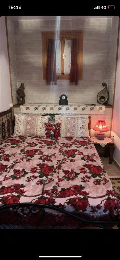 Η Θεα Traditional House Makrinítsa Dış mekan fotoğraf