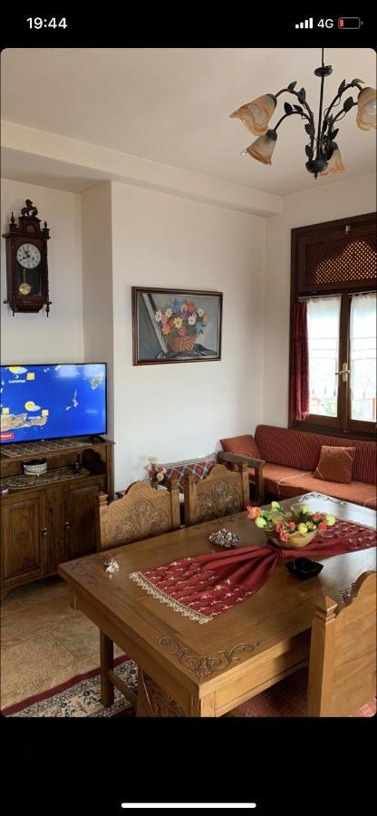 Η Θεα Traditional House Makrinítsa Dış mekan fotoğraf