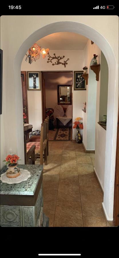 Η Θεα Traditional House Makrinítsa Dış mekan fotoğraf