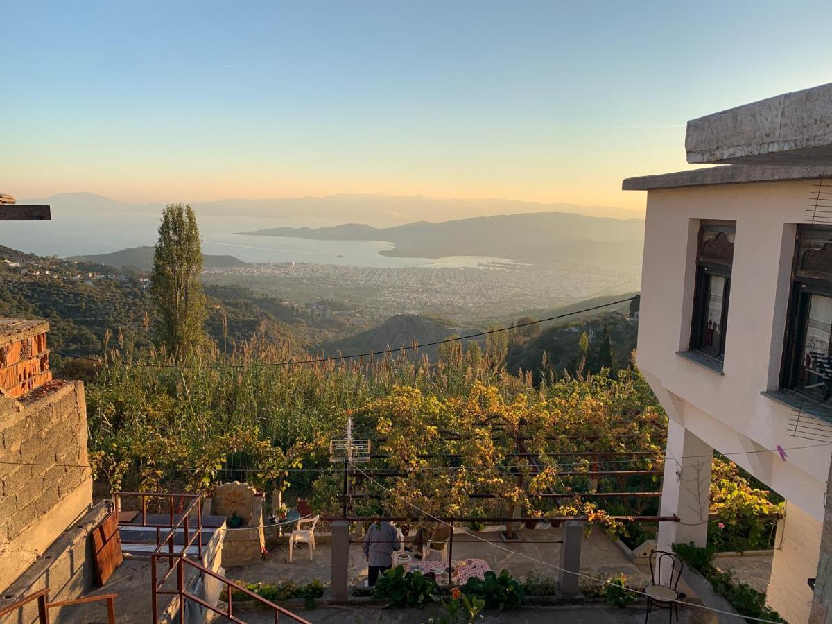 Η Θεα Traditional House Makrinítsa Dış mekan fotoğraf