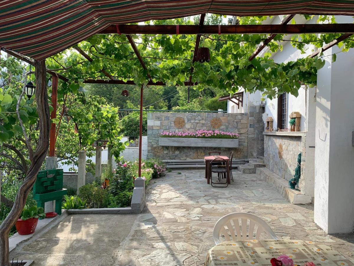 Η Θεα Traditional House Makrinítsa Dış mekan fotoğraf